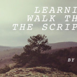Learning To Walk Through The Scriptures