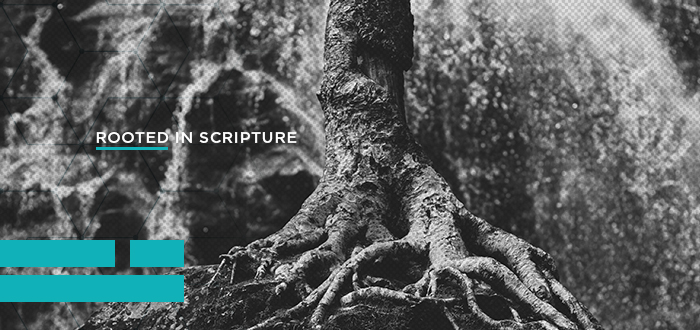Rooted in Scripture Lifeway Students